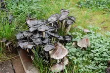 2008-10-12_0761.JPG