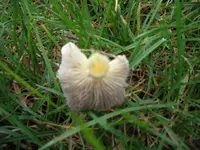 2008-10-14_2810.JPG