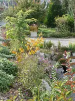 Herbstimpressionen2.webp