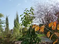 Herbstimpressionen.webp