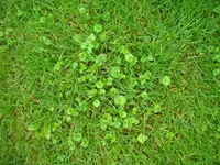 DSCN2522.webp