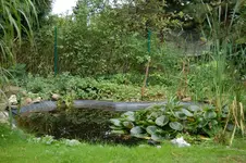 Haus_09_2008_13.webp