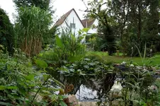 Haus_09_2008_14.webp