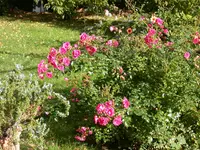 DSCN5109.webp