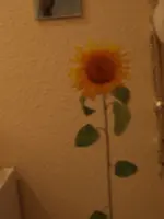 PA171355.webp