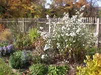 Oktober1 008.webp