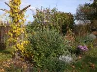 Oktober1 009.webp