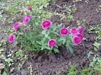 046.webp