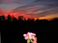 Abendhimmel 004.webp