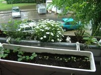 DSCF2184.webp