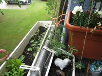 DSCF2188.webp