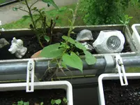 DSCF2187.webp