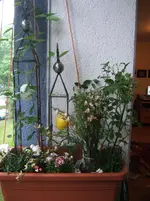 DSCF2189.webp