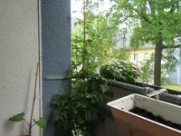 DSCF2185.webp