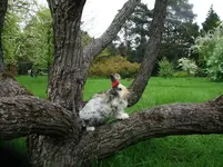 DSCF2210.webp