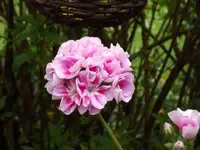 27.04 (28).webp