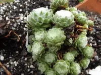 27.04 (19).webp
