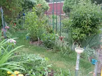 IMG_4552.webp