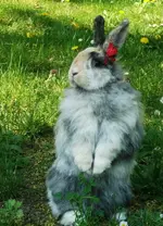 DSCF1638.webp