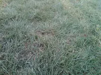 IMG00175-20110428-0737.webp