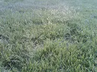 IMG00177-20110428-0737.webp