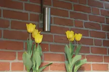 047.webp