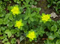 IMGP1544.1.webp