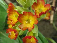 IMG_2076_1067x800.webp
