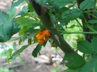 DSC01180.webp