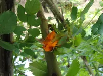 DSC01181.webp