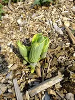 DSCF8412.webp