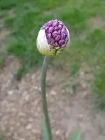 DSCF8419.webp