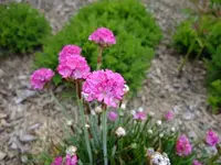 DSCF8421.webp