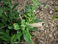 DSCF8427.webp