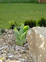 DSCF8435.webp