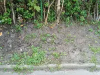 023.webp