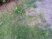026.webp