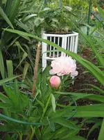 IMG_4572.webp