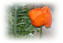 29.04 (5).webp