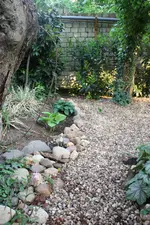 IMG_1652.webp