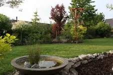 IMG_1671.webp