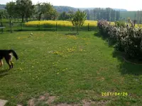 MD001812.webp