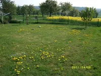 MD001814.webp