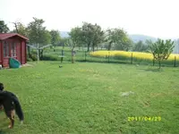 MD001817.webp