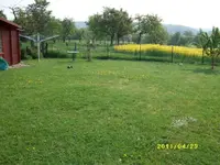 MD001819.webp