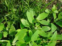 SDC12066.webp