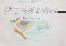 Vogelhilfe2.webp