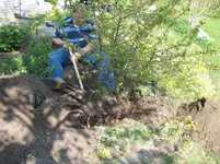 img_0349.webp img_0349.webp