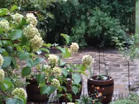 Sitzplatz 010.webp