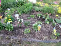 img_0354.webp img_0354.webp